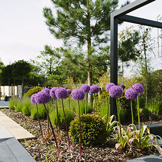 Garden Design for a Luxury Property