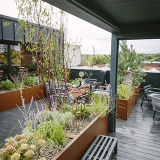 Roof Garden Design