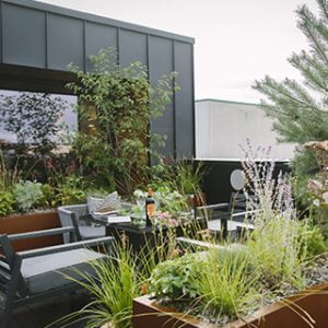 rooftop garden by white mosaic