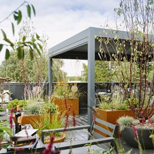 rooftop garden by white mosaic