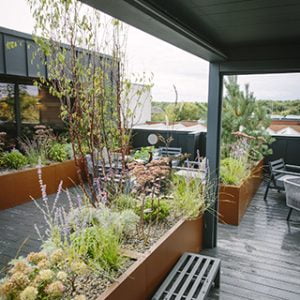 rooftop garden by white mosaic
