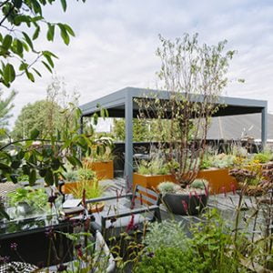 rooftop garden by white mosaic