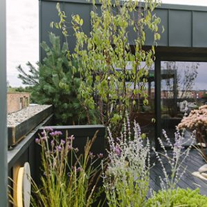 rooftop garden by white mosaic