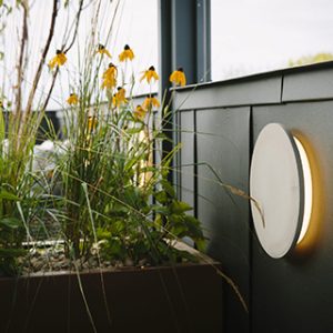 rooftop garden planting