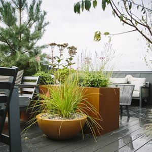 rooftop garden by white mosaic