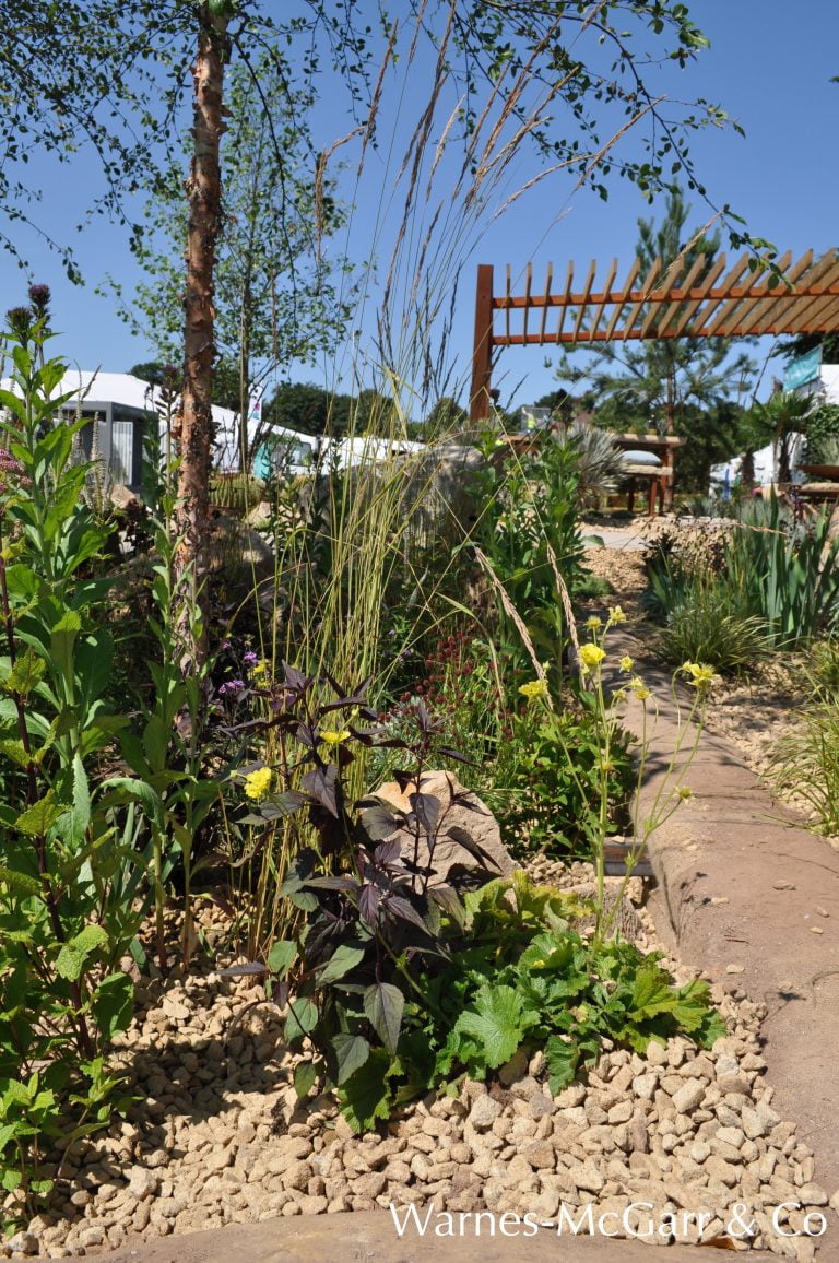 Herbaceous borders in a contemporary garden