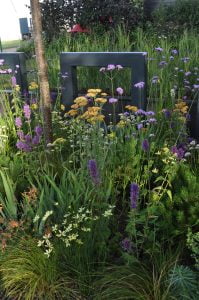 Wildflower meadow in a sustainable garden design