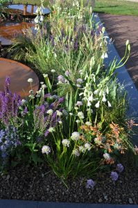 Ornamental garden with seasonal flowers