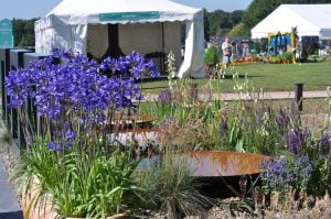 Ornamental garden with seasonal flowers