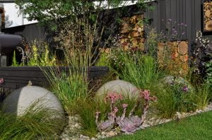 Modern garden with a combination of hardscape and softscape elements
