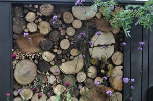 Garden with an emphasis on native plant species