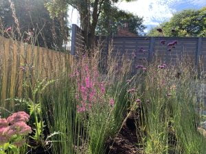 Seasonal gardening tips for cheshire gardens