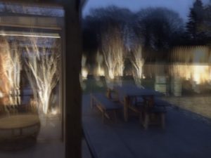 garden lighting at night