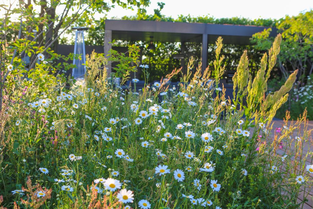 Flowering shrubs and perennials in a landscaped garden