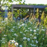 Flowering shrubs and perennials in a landscaped garden