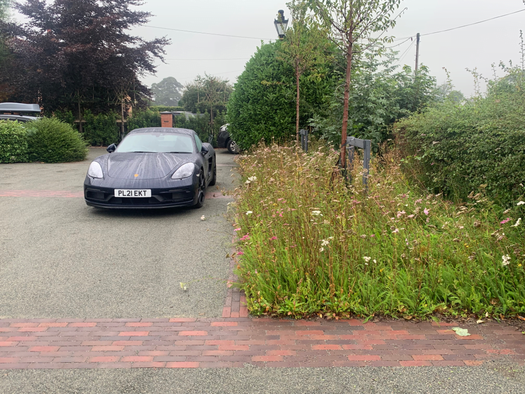 Herbaceous borders in a contemporary garden design Lancashire
