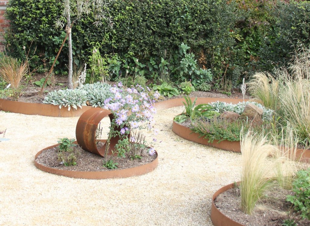 purple flowers in rockery
