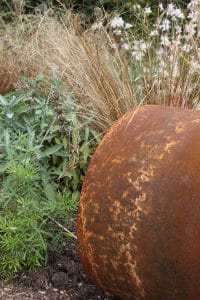 garden image with rusty pipe