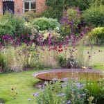 cottage garden in summer