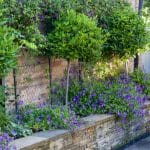 pretty walled flower bed