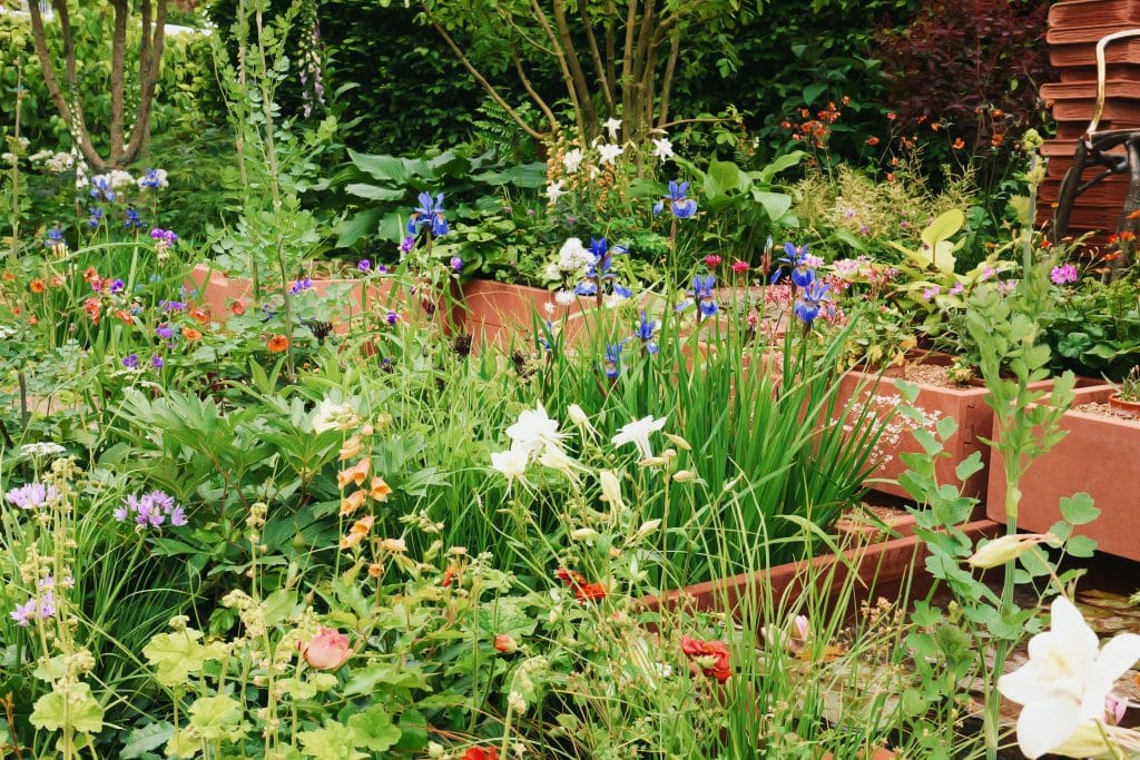 Chelsea Flower Show 2027 by Poppy Pembleton