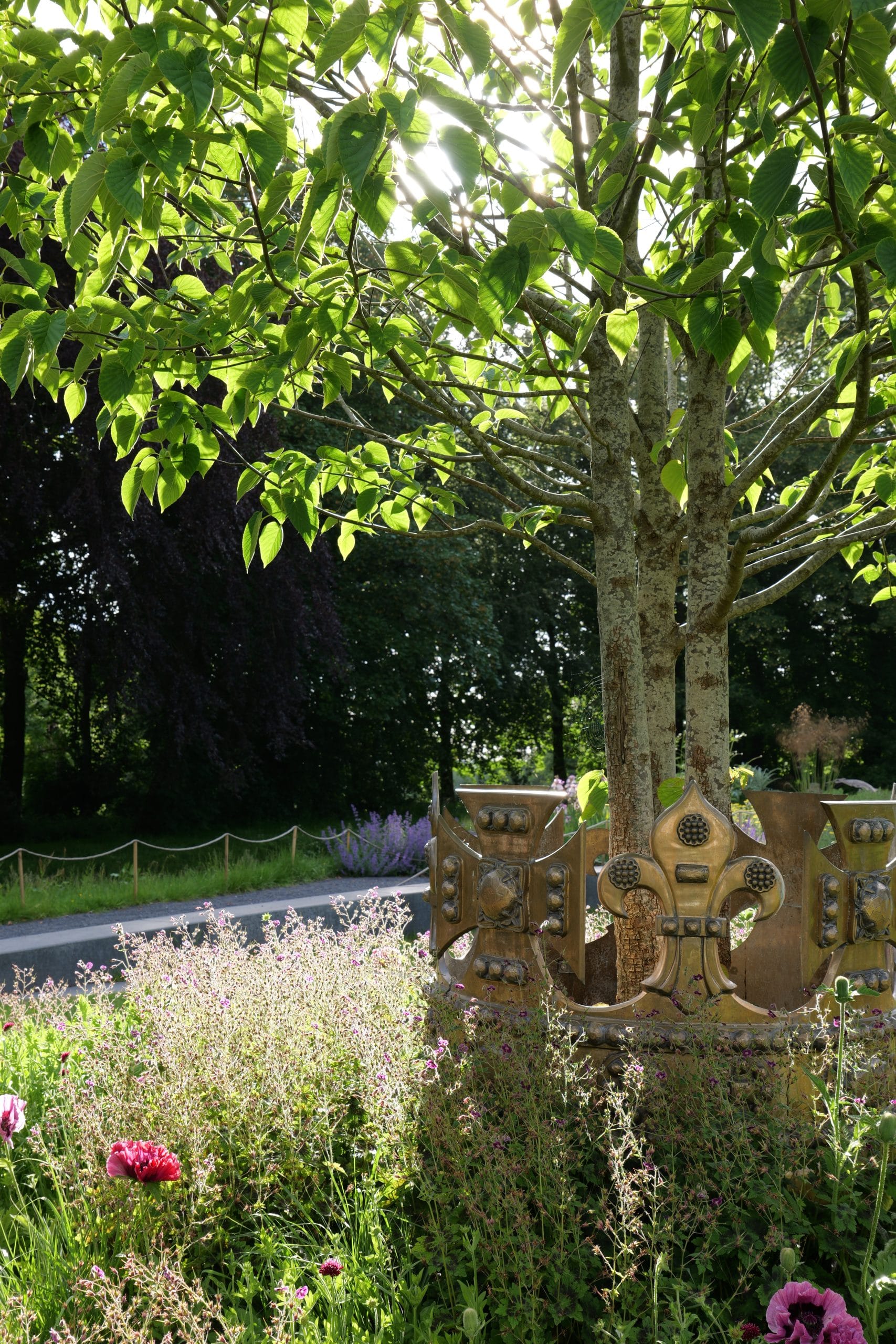 Amphitheatre for a Tree
